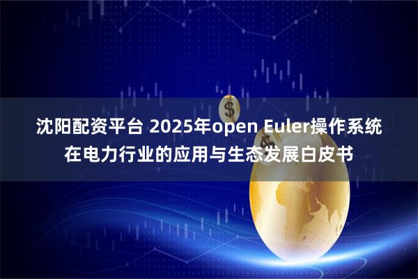 沈阳配资平台 2025年open Euler操作系统在电力行业的应用与生态发展白皮书