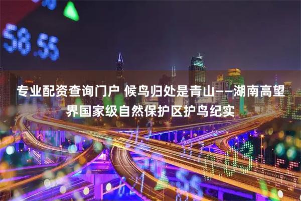 专业配资查询门户 候鸟归处是青山——湖南高望界国家级自然保护区护鸟纪实